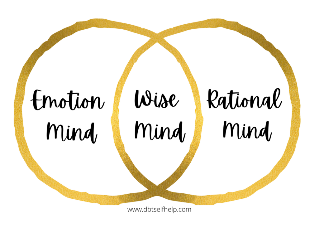 The overlap between the emotional and rational minds is where the wise mind exists.