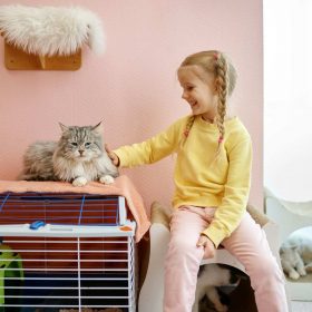 Happy smiling little girl child playing with cat indoors